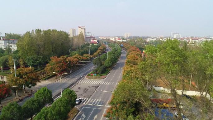 航拍县级乡级道路公路绿化树木