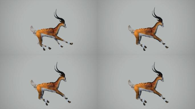 奔跑的羚羊动画