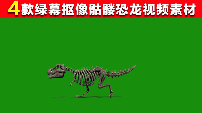 4款骷髅恐龙绿幕抠像素材