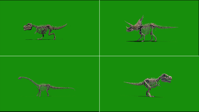 4款骷髅恐龙绿幕抠像素材