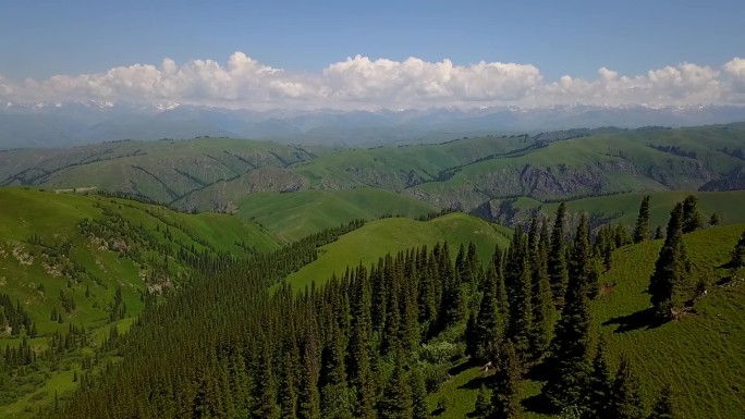 山水，羊，雪山，公路，夕阳，延绵，航拍