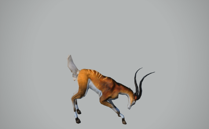 休闲羚羊3D动画