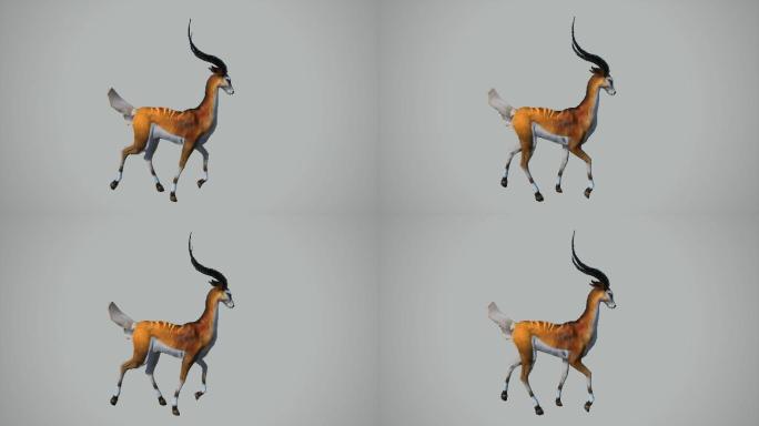 走路的羚羊3D动画