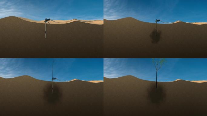 沙漠治理树生长种树沙漠绿化方法