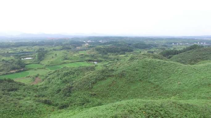 湖北青山航拍 青山绿水森林