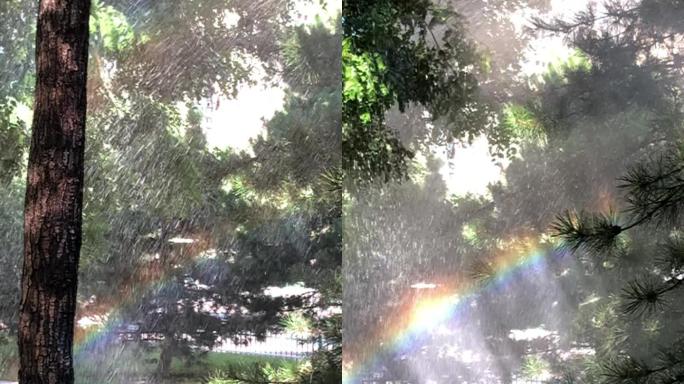 海虹遇见彩虹雨滴形成降落下雨太阳