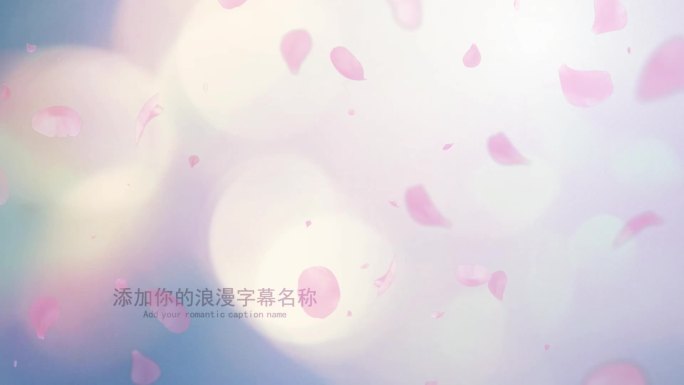 水墨玫瑰花瓣婚礼婚庆会声会影视频相册模板