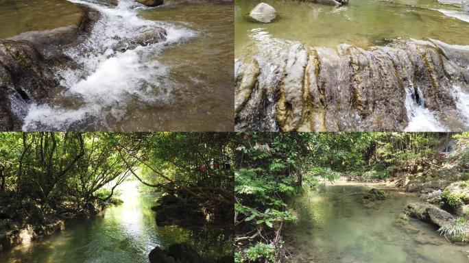 【原创】4k丛林小溪水流潺潺细流