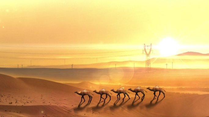 6K沙漠骆驼