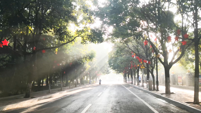 4K清晨开车行驶在阳光透过树林的公路上