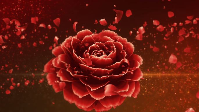 花开
