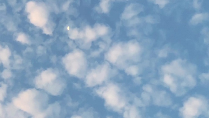 云和月1080P