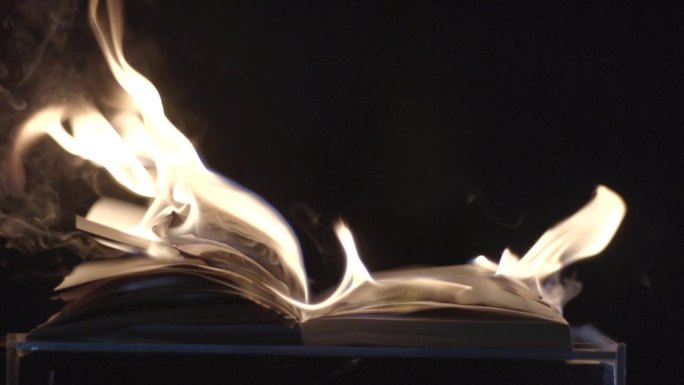 火烧书