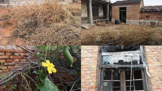 荒芜无人居住的农村农家院实拍视频素材