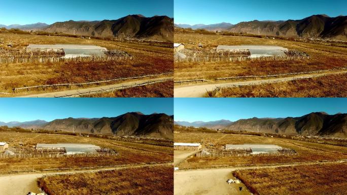 原创西藏林芝人文风光城市4K航拍素材