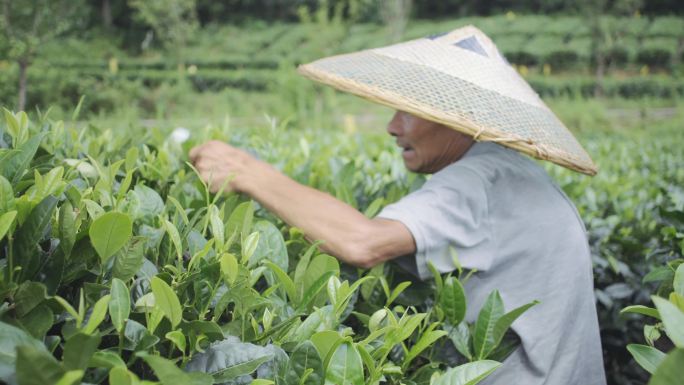 2020贵州茶旅富裕农村
