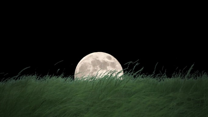 草原上升起一轮圆月