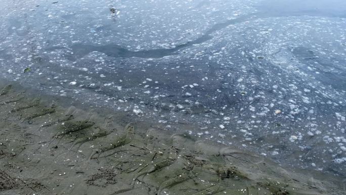 河流河道排污孔口的污水