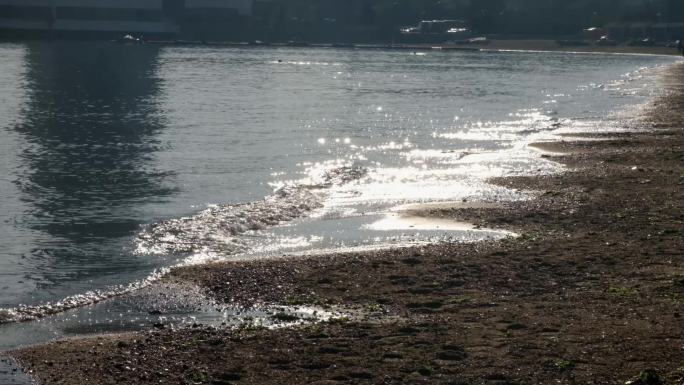 清晨的海边碧海沙滩孤独的海鸥