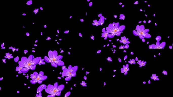 唯美紫色手绘花朵花瓣转场-alpha通道