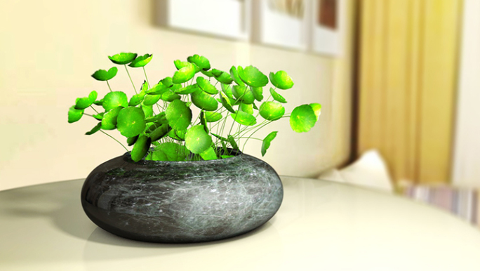 【原创】C4D植物模型带动画工程带贴图