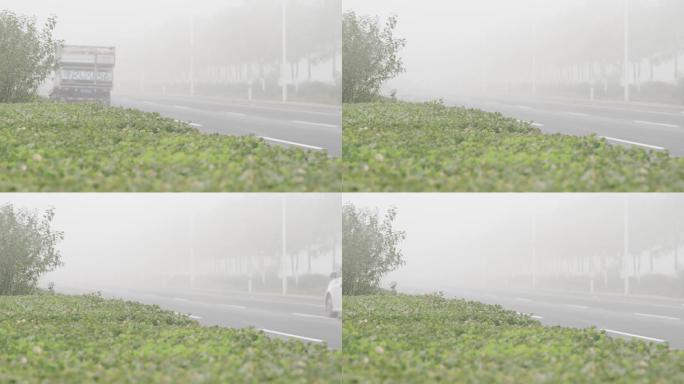 【原创】4K·大雾中过往的车辆