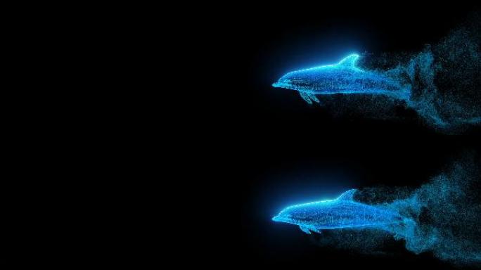 海豚粒子循环游动动画