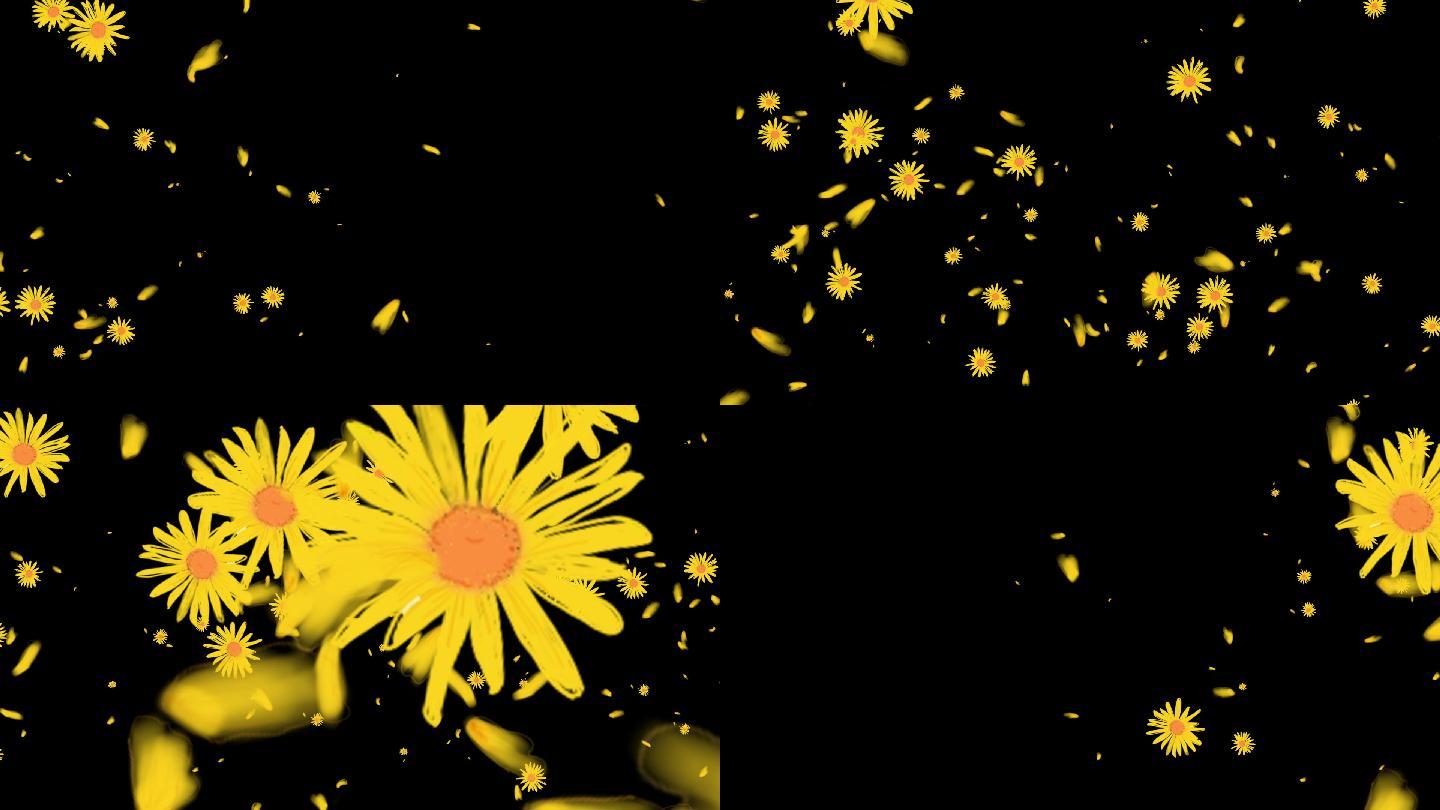 黄色小雏菊手绘花朵转场-alpha通道