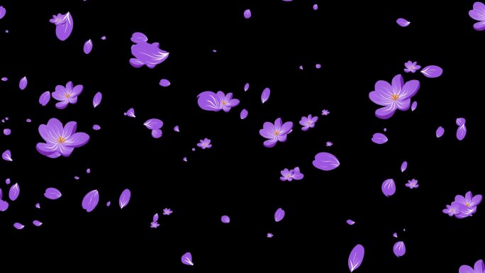 紫色花朵花瓣小花转场-alpha通道