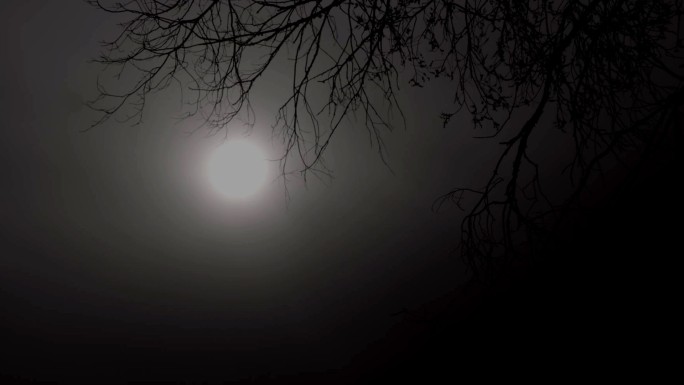 皓月当空夜晚明亮的月亮空境素材