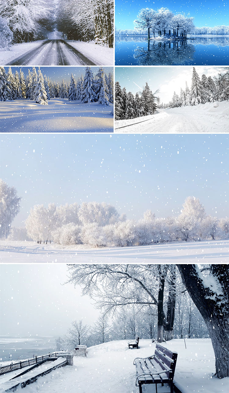 唯美冬季雪景下雪林海雪原视频 19x1080 高清视频素材下载 编号 舞台背景 Vj师网www Vjshi Com 唯美冬季雪景下雪林海雪原视频 19x1080 高清视频素材下载 编号 舞台背景 Vj师网www Vjshi Com