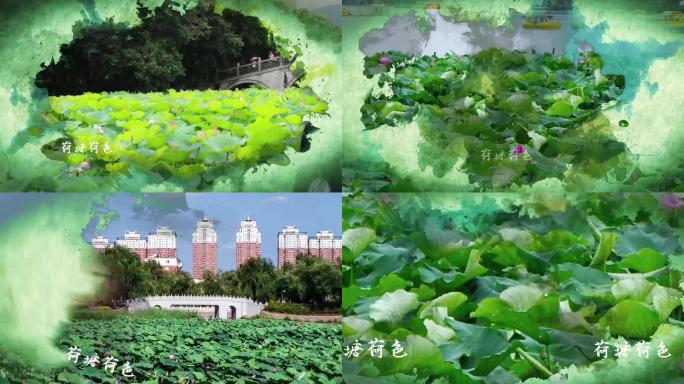 大气震撼的水墨风景荷叶片头模板