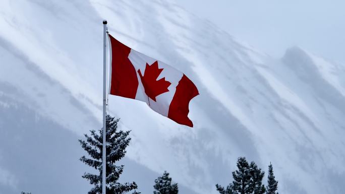 飘扬的加拿大国旗