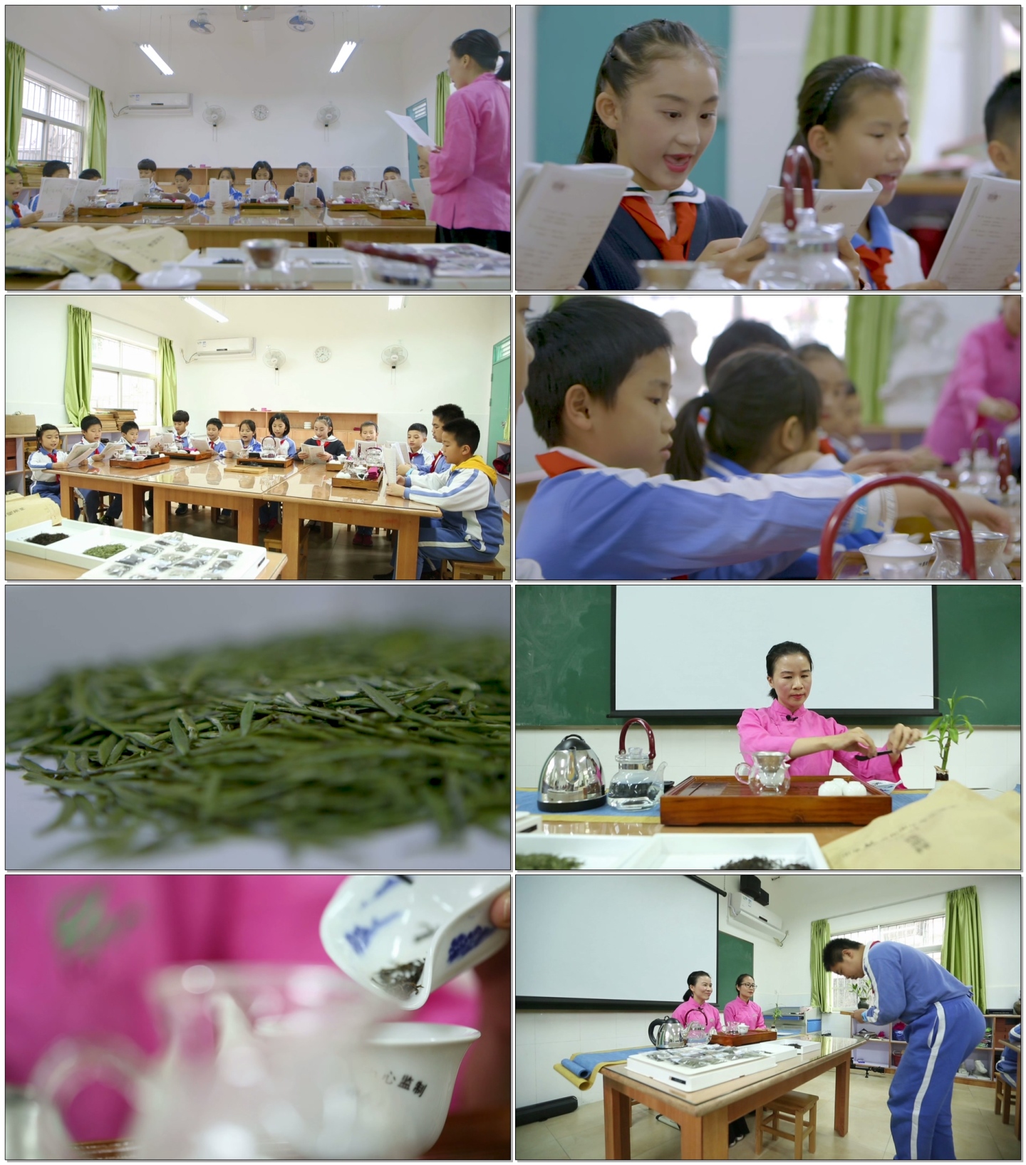 学校学生茶艺社团