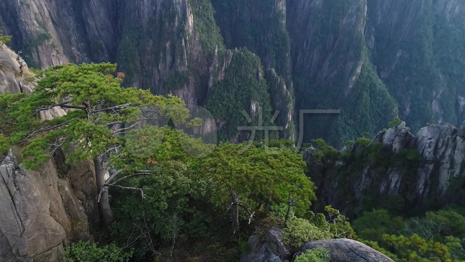 視頻原素材航拍安徽黃山西海大峽谷黃山松