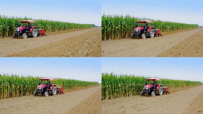 【原创】4K·小麦种植拍摄