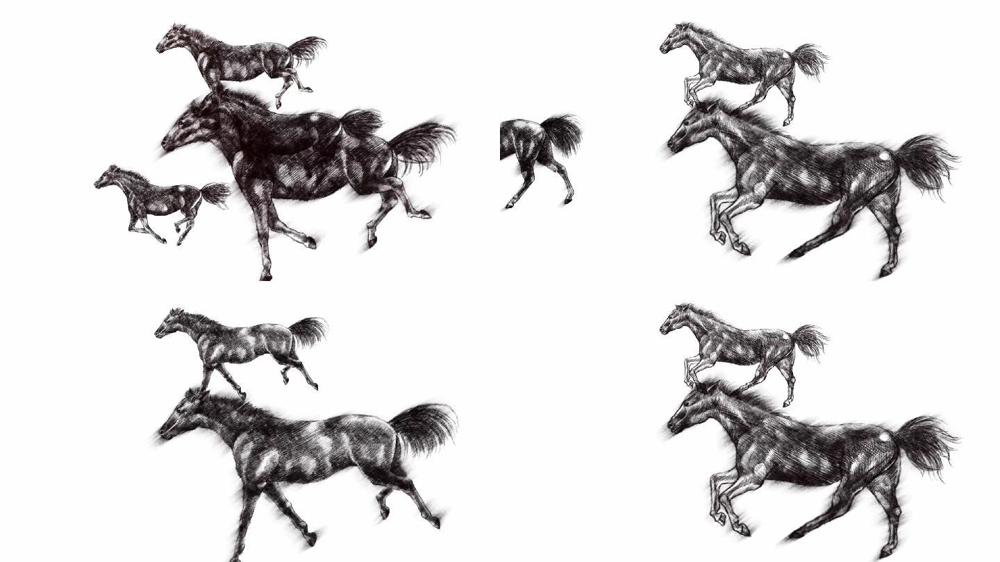 4款素描马奔跑素材（带通道）