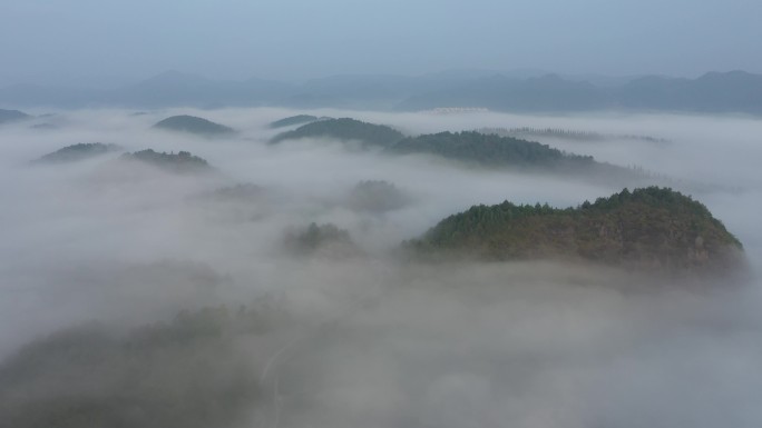 云峰茶海