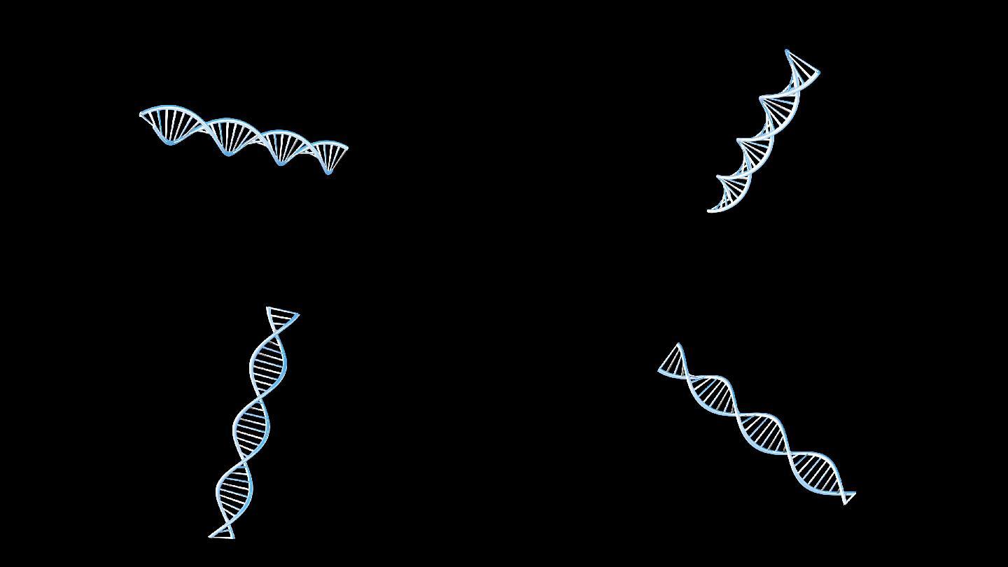 单个基因螺旋状