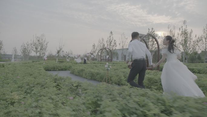 阿莱迷你拍摄-婚礼