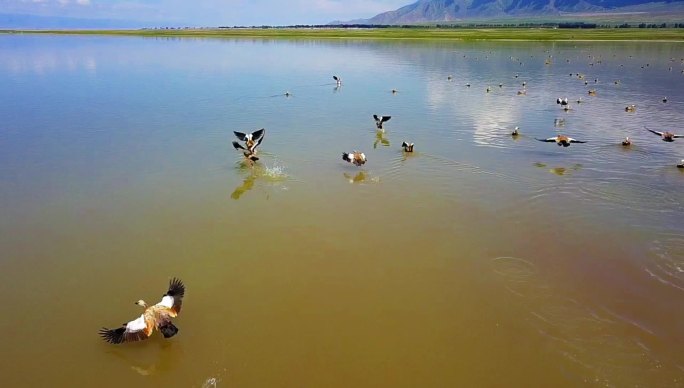 鸟瞰新疆巴里坤湖201907