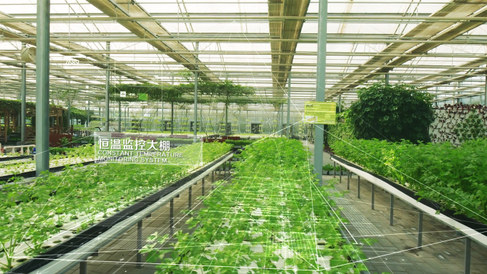 原创科技农业智能温室种植包装