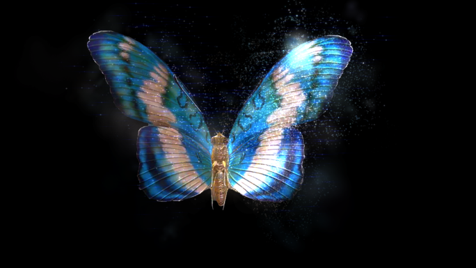 循环透明通道粒子蝴蝶