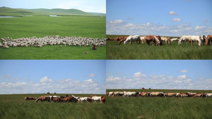 草原上的牛马羊