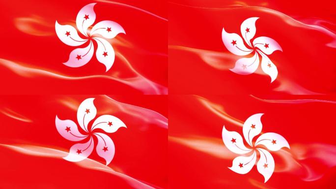 中国香港特区紫荆花旗帜视频素材
