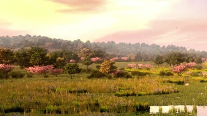 三维湿地公园黄昏动画