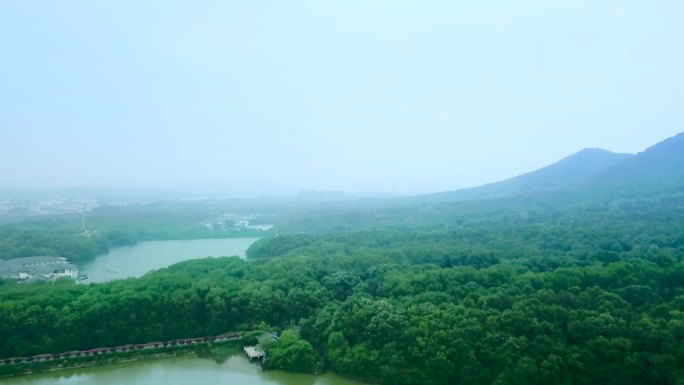 宁静优美的森林湖水