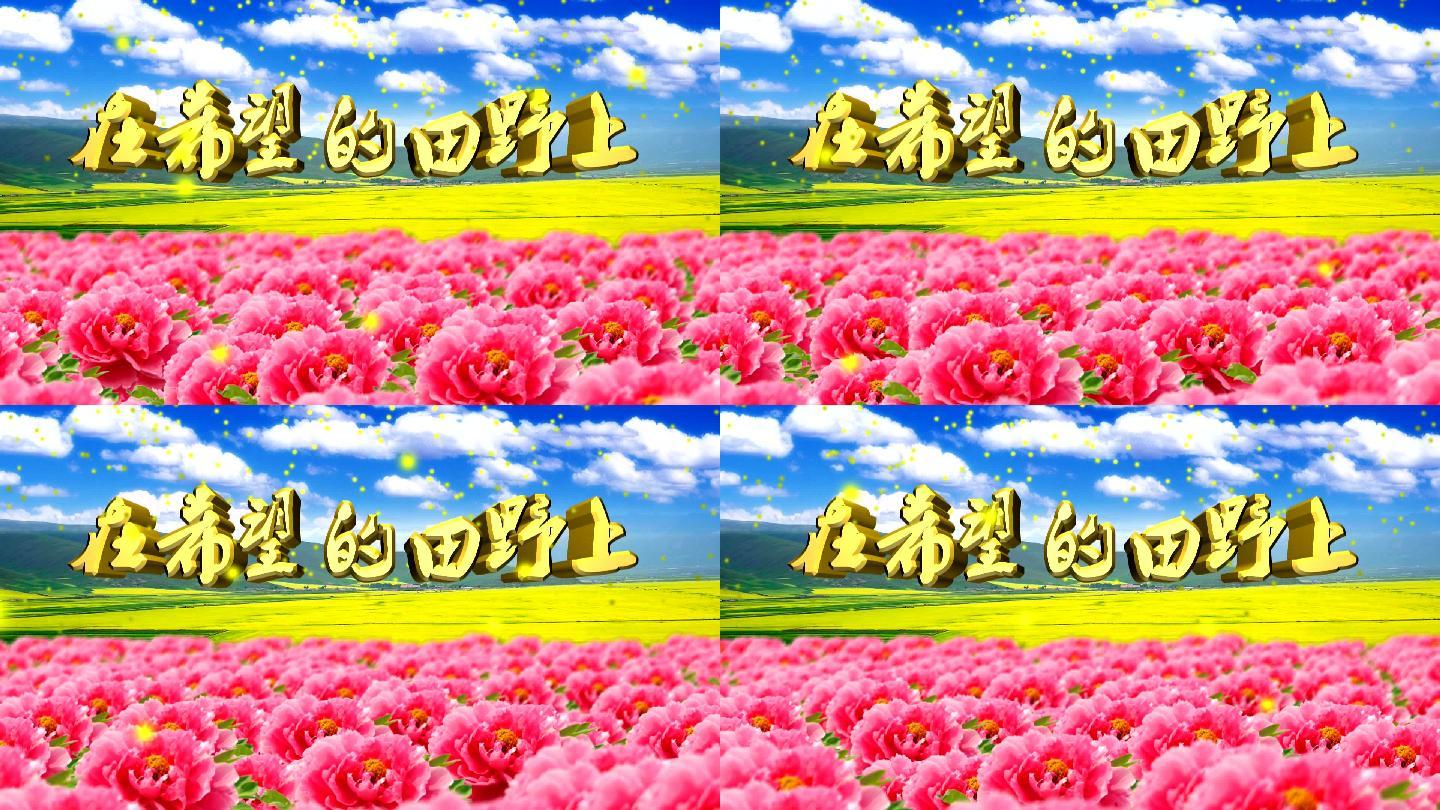 在希望的田野上,红歌背景