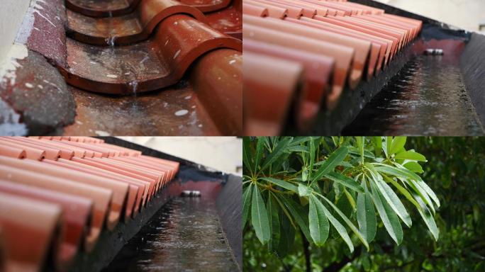 屋檐下雨树叶雨滴