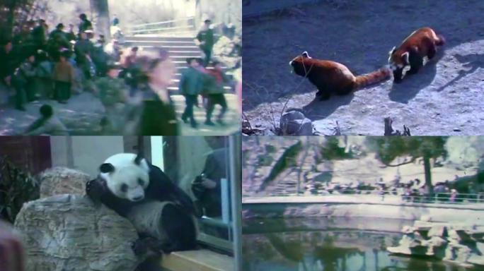 80年代北京动物园